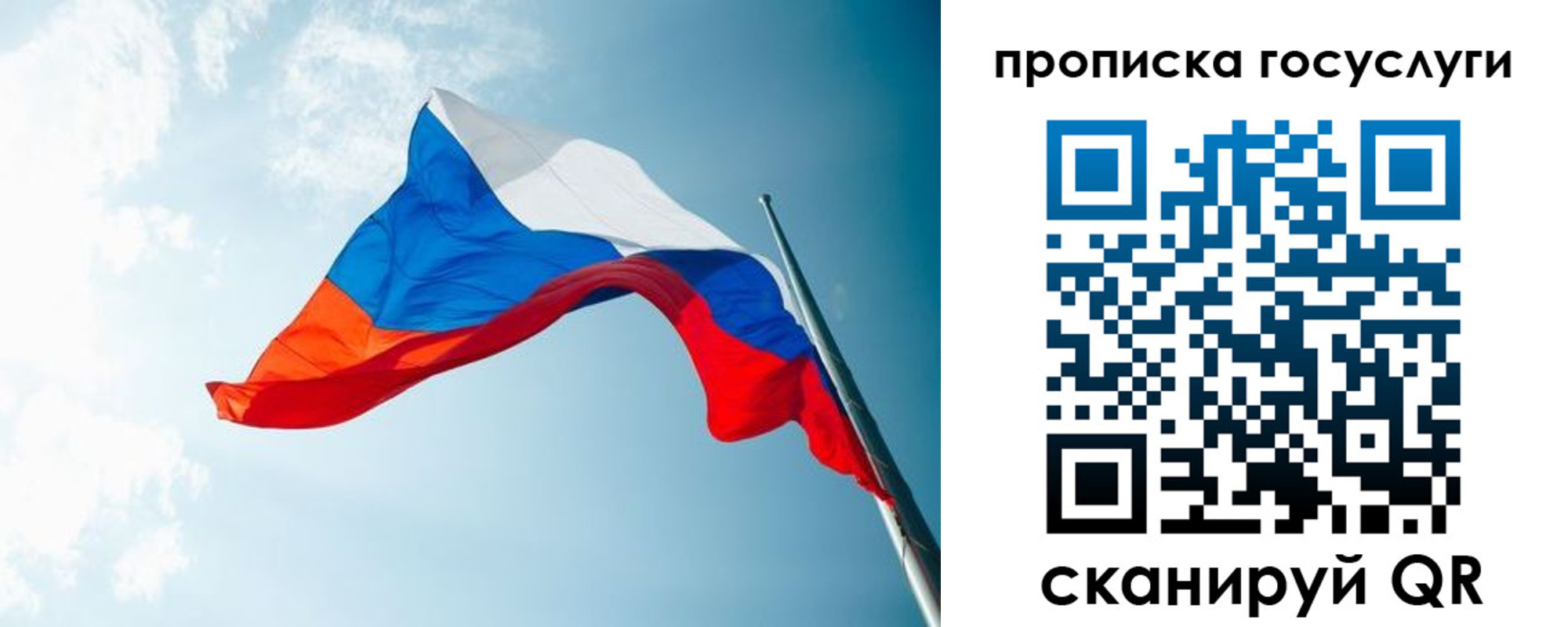 регистрация для школы в Дмитрове